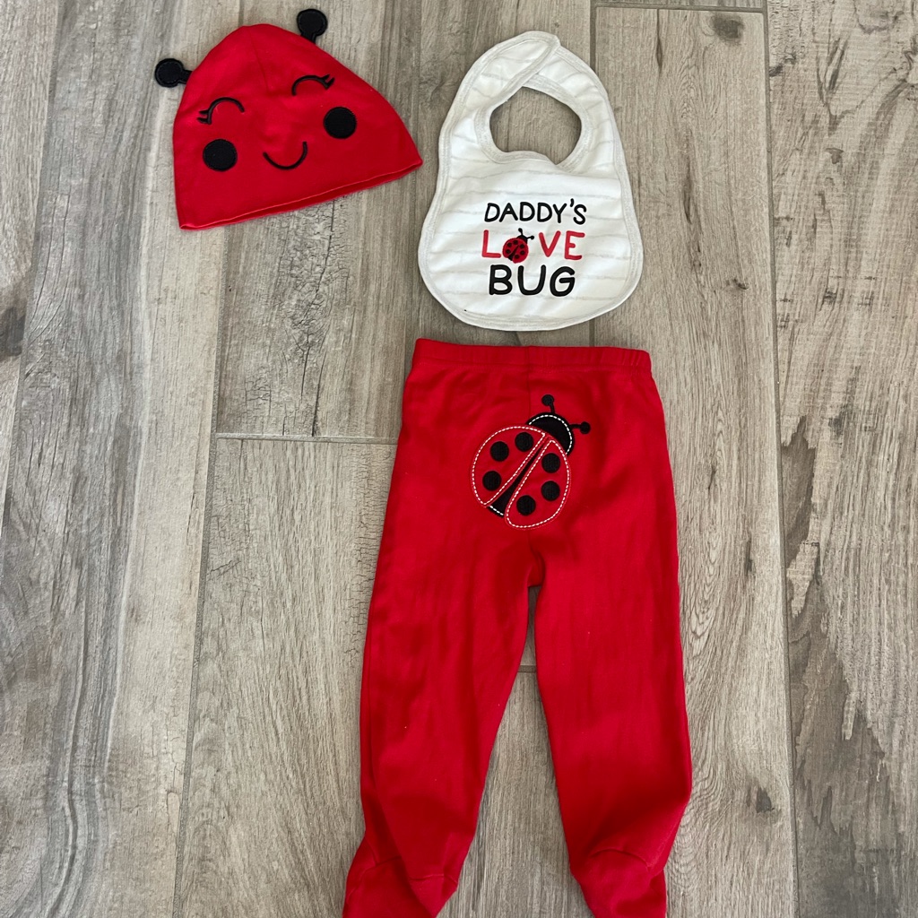 Daddy Love BugLady Bug Outfit